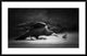 "Evil" Framed Digital Print by Richard Bires, 44x28"