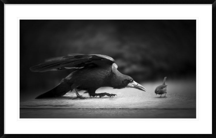"Evil" Framed Digital Print by Richard Bires, 44x28"