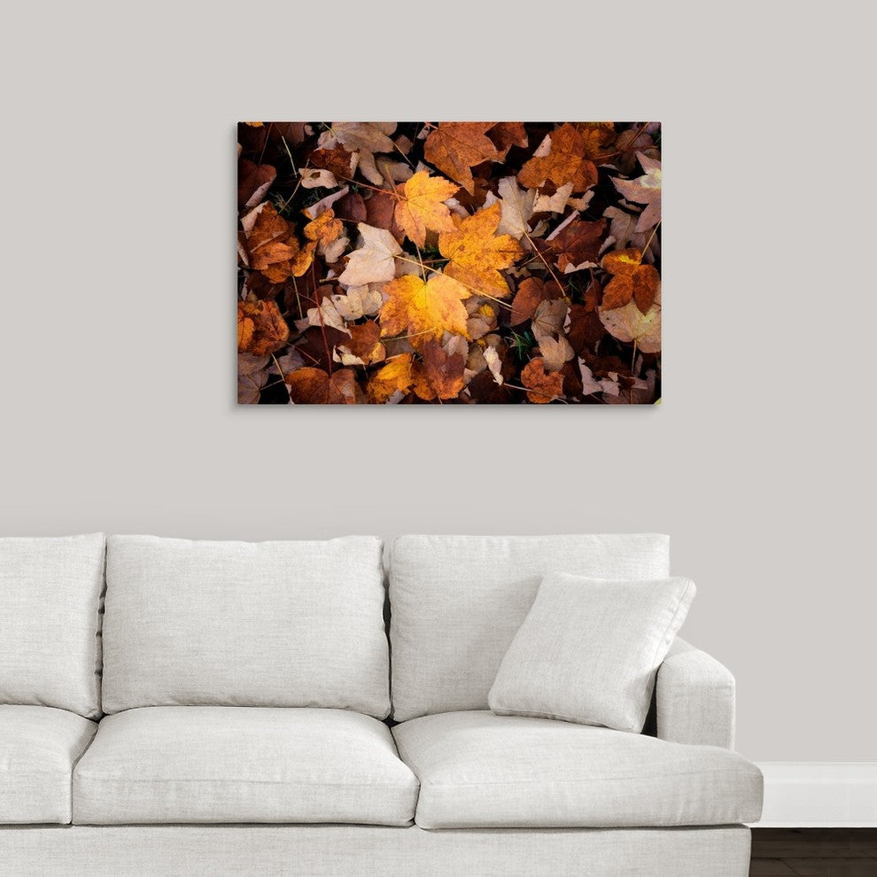 "Sweet Delusion" Wrapped Canvas Art Print, 36"x24"x1.5"