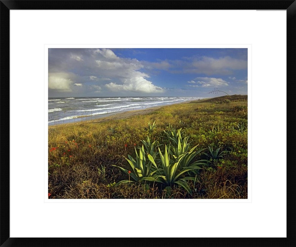 Apollo Beach At Canaveral National Seashore, Florida, 22"x18"