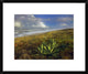 Apollo Beach At Canaveral National Seashore, Florida, 22"x18"