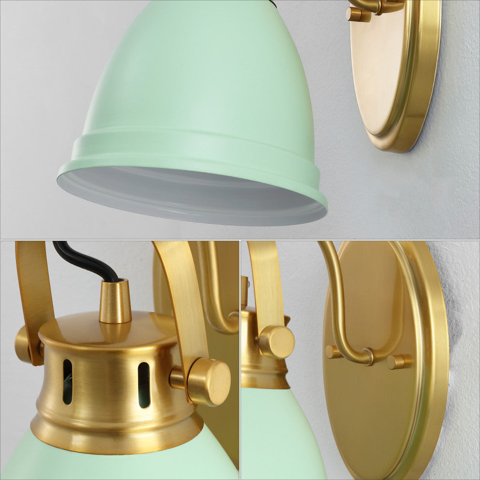 Phineas 1-Light Adjustable Farmhouse Bohemian Iron LED Vanity Light