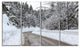 Foggy Winter Road in Slovenia, Large Landscape Canvas Art, 48"x28", 4 Panels