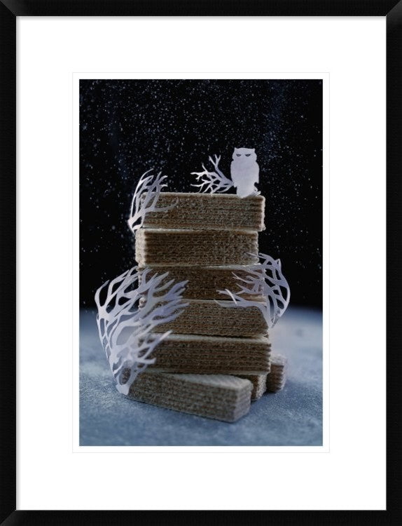 "Snowy Owl (Powdered Sugar)" Framed Digital Print by Dina Belenko, 20"x26"