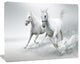 Running White Horses, Animal Canvas Art Print, 40"x30"