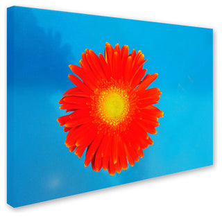'Orange and Blue' Canvas Art by Kurt Shaffer