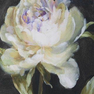 Uttermost Florals On Black Framed Prints Set of 4