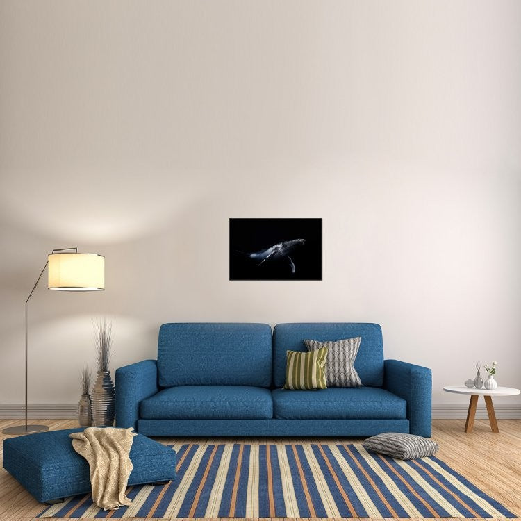 "Black and Whale" Framed Canvas Giclee by Barathieu Gabriel, 31x21"