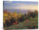 "Deciduous Forest, Blue Ridge Mountains, North Carolina" Artwork