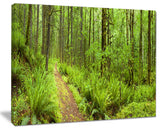 "Lush Forest Path Columbia River" Forest Wall Art Print, 40"x30"