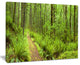 "Lush Forest Path Columbia River" Forest Wall Art Print, 40"x30"