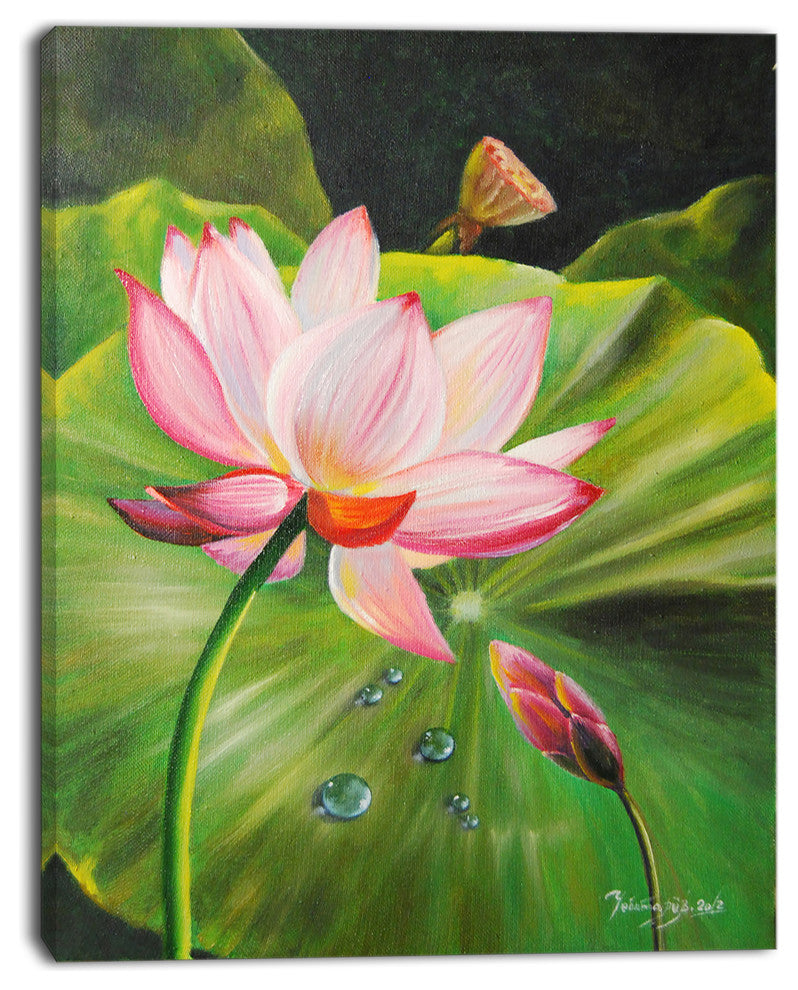 "Lotus and Water Drops" Canvas Print