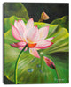 "Lotus and Water Drops" Canvas Print