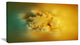 3D Prickly Digital Illustration, Abstract Canvas Art Print, 32"x16"