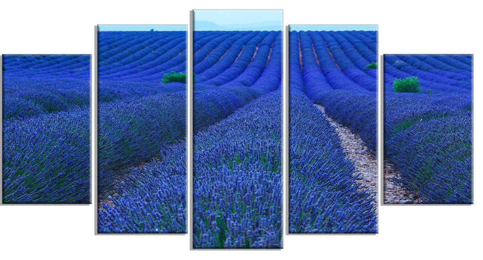 Lavender Field Sunset Near Valensole, Floral Canvas Art Print, 60"x32", 5 Panels