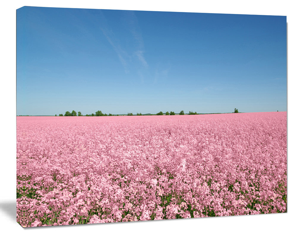 Beautiful Meadow under Blue Sky, Floral Canvas Art Print, 40"x30"