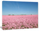 Beautiful Meadow under Blue Sky, Floral Canvas Art Print, 40"x30"