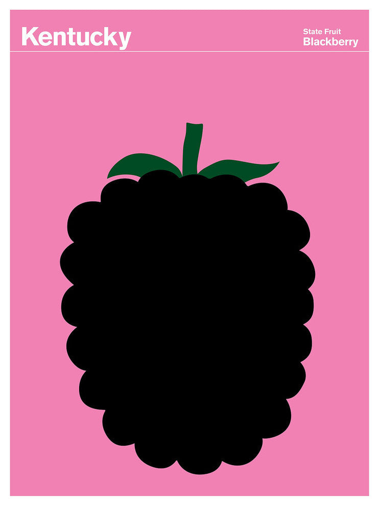 Kentucky Blackberry Print, 18"x24"