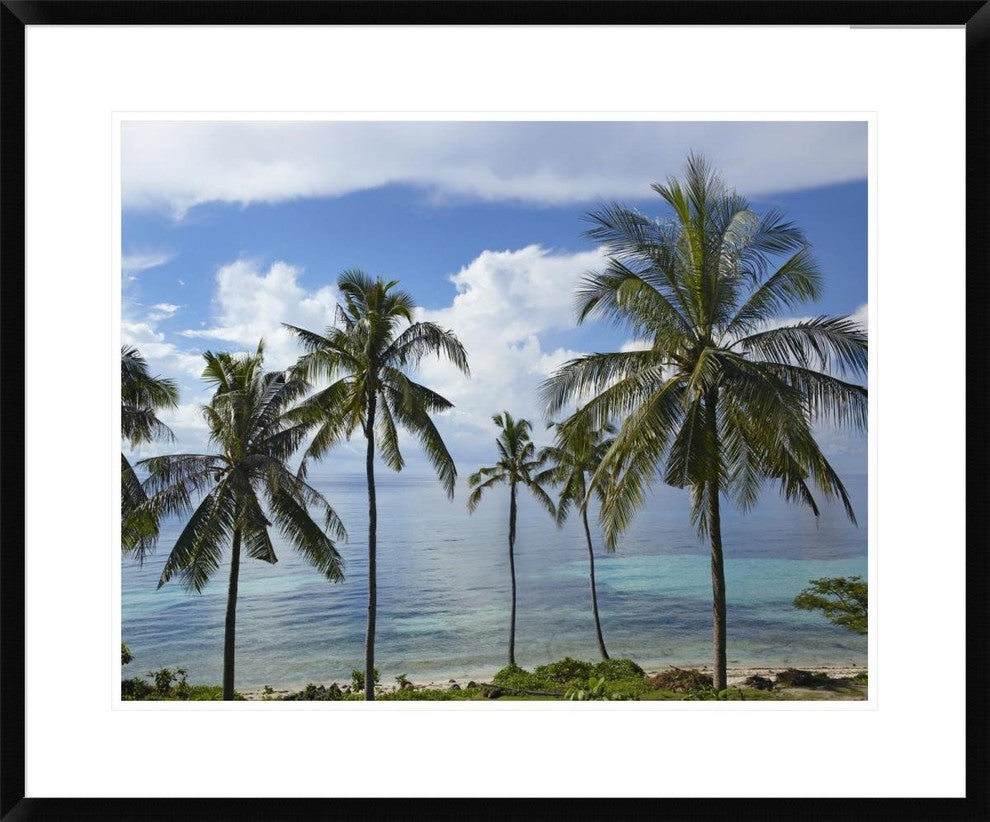 Coconut Palm Trees, Bikini Beach, Panglao Island, Philippines, 30"x24"