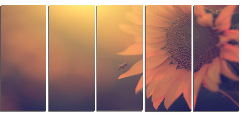 Vintage Photo Of Sunflower Close up, Floral Canvas Print, 60"x28", 5 Panels