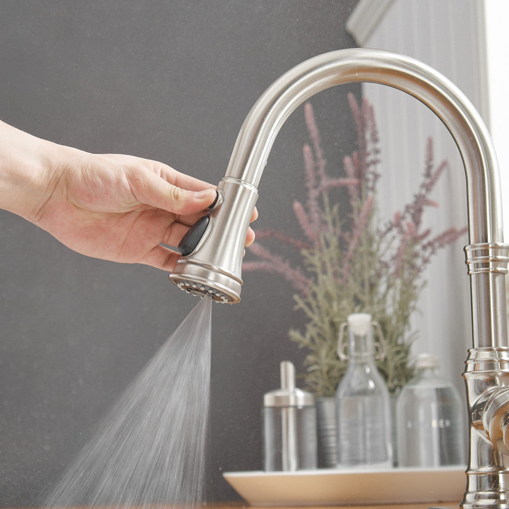 Wellfor Single Level Stainless Steel Kitchen Sink Faucet With Pull down Sprayer, Brushed Nickel