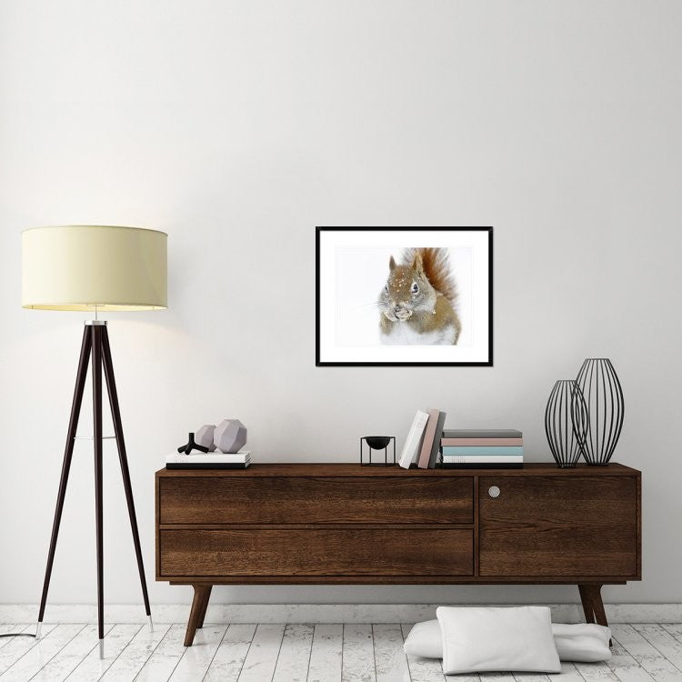 "Christmas Squirrel" Framed Digital Print by Mircea Costina, 32x26"
