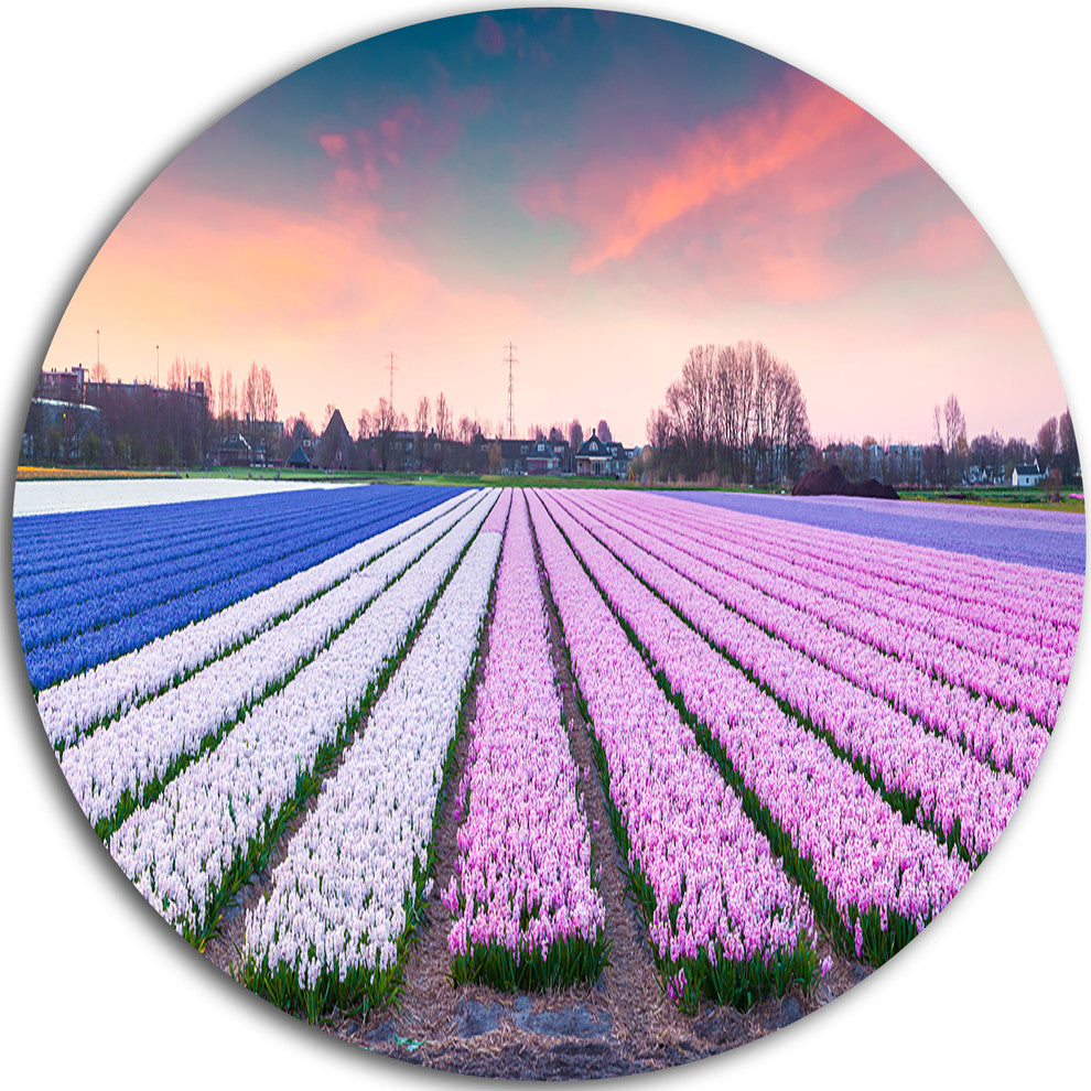 Colorful Hyacinth Flowers At Sunrise, Photo Round Wall Art, 23"