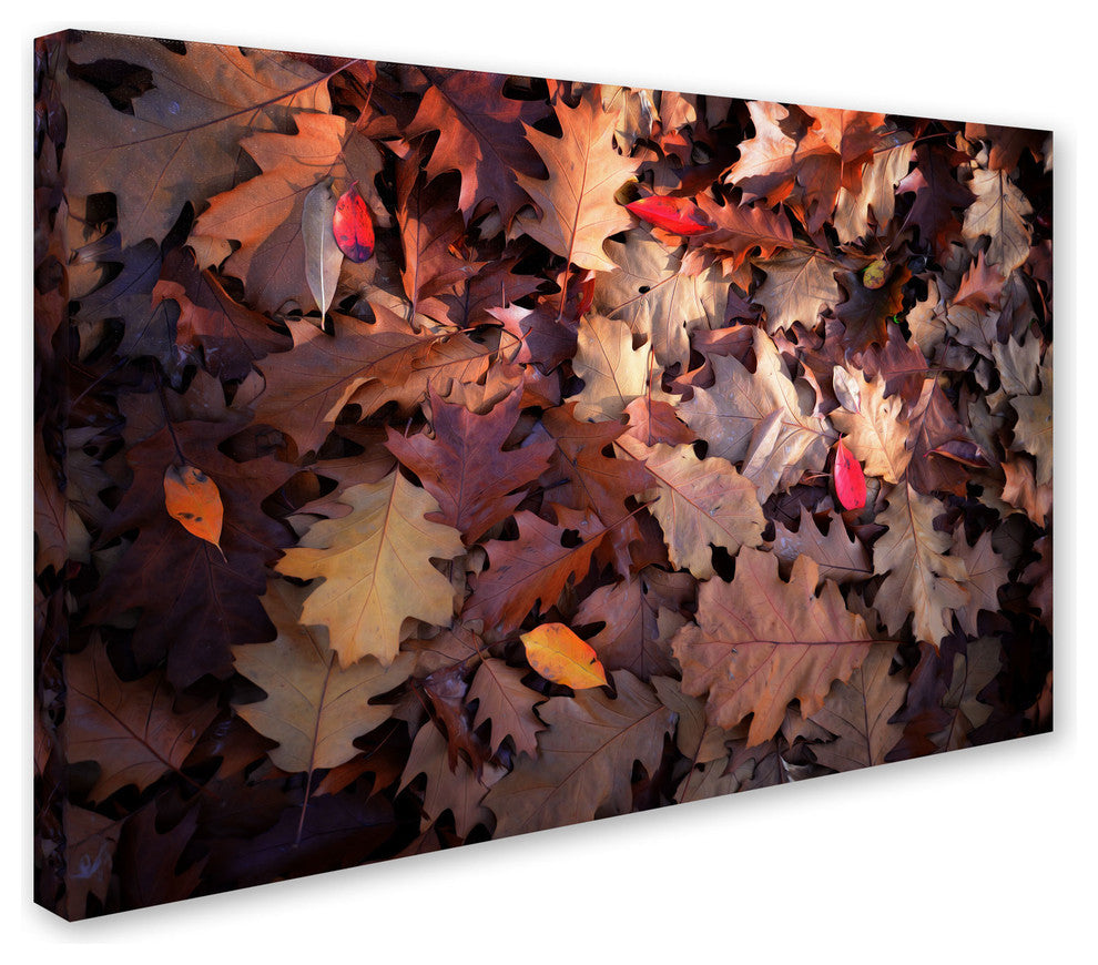 'Goofy Leaves' Canvas Art by Philippe Sainte-Laudy
