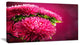 Pink Flowers of Asters on Red, Flowers Canvas Wall Artwork, 32"x16"