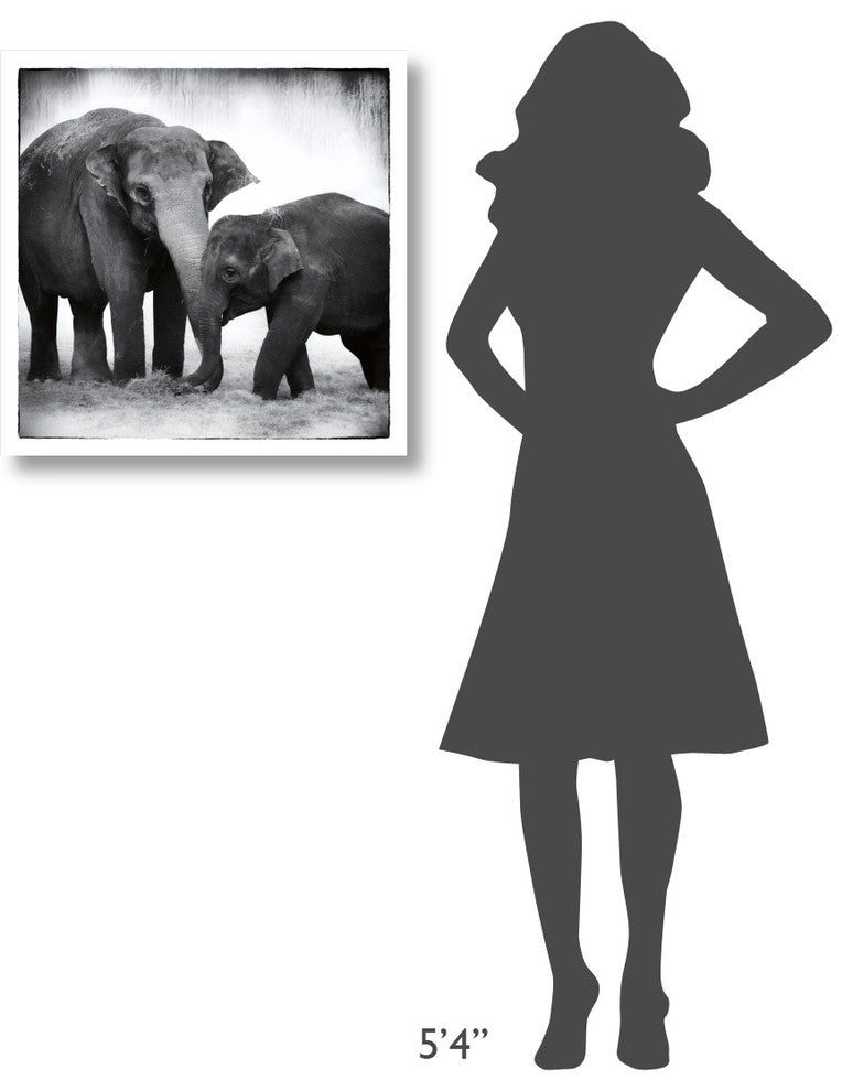 "Elephant III" Digital Paper Print by Debra Van Swearingen, 26"x26"