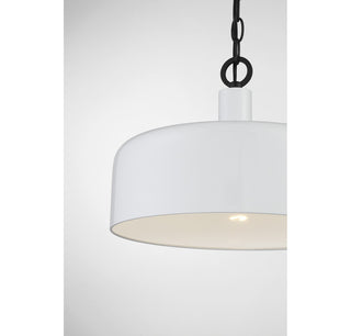 1-Light Pendant, Weathered Gray With Black, White With Black