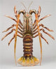 Metal Lobster Sculpture