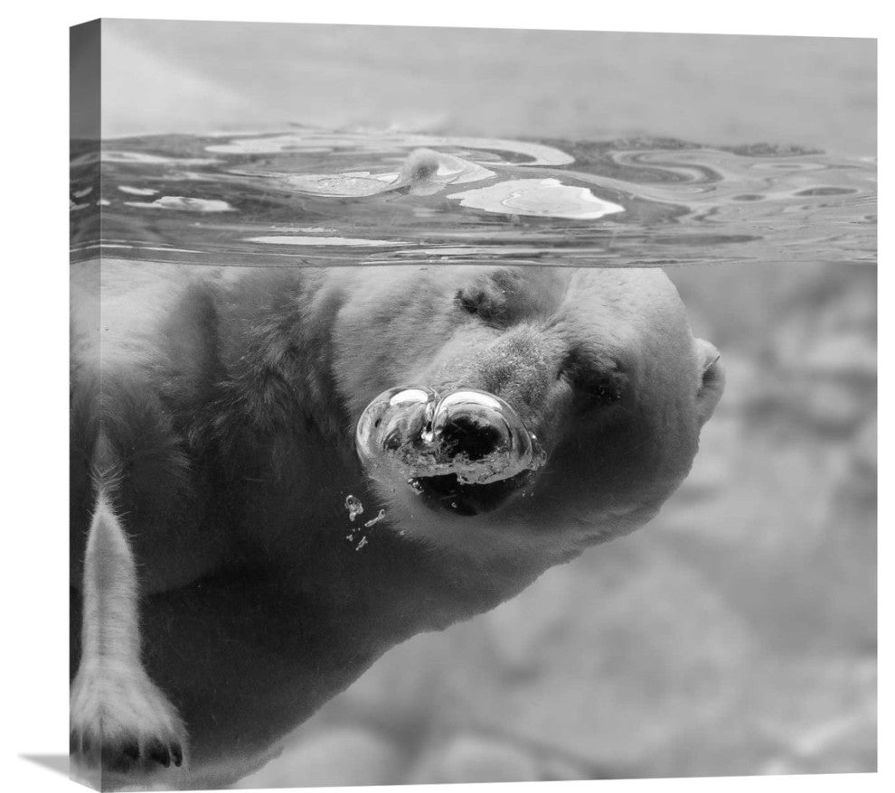 "Bubbles" Stretched Canvas Giclee by C.S. Tjandra, 22x21"