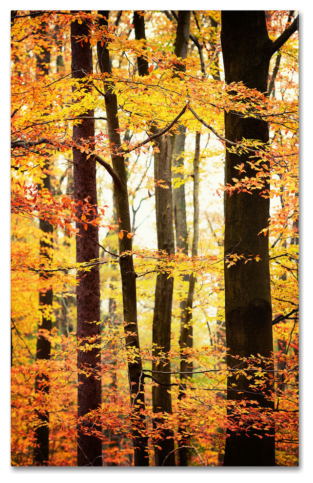 'Between Us' Canvas Art by Philippe Sainte-Laudy