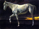 Albert Bierstadt A White Horse and Sunset, 21"x28" Wall Decal