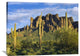 "Saguaro Cacti At Lost Dutchman State Park, Arizona" Artwork