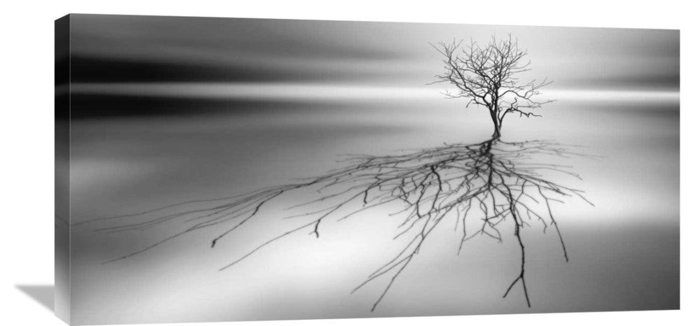 "Even The Dead Cast Shadows" Stretched Canvas Giclee by Leif Londal, 36x18"