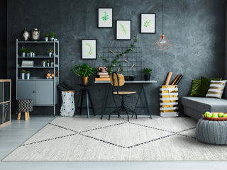 Mehari Ivory and Gray Area Rug, 3.11'x5.7'