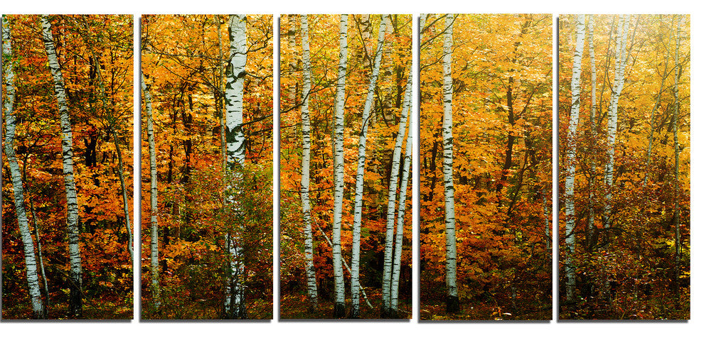 Yellow Colorful Autumn Forest, Forest Canvas Art Print, 60"x28", 5 Panels