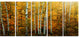 Yellow Colorful Autumn Forest, Forest Canvas Art Print, 60"x28", 5 Panels