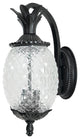 Pineapple Outdoor Wall Mount Light, Matte Black