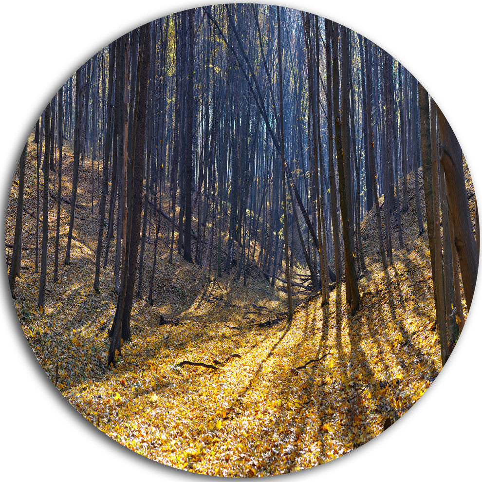 Thick Autumn Forest Woods, Forest Round Wall Art, 23"