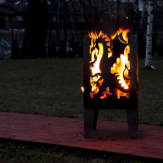 Dragon Solid Steel Wood Burning Fire Pit