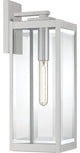 Westover 1-Light Outdoor Lantern, Stainless Steel