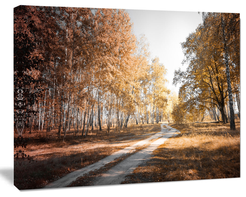 Straight Road in Fall Birch Grove, Modern Forest Canvas Art, 60"x28"