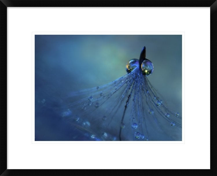 "Dancing Into The Blue Night" Framed Digital Print by Heidi Westum, 24x20"
