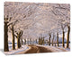 Trees And Road in White Winter, Landscape Canvas Art Print, 60"x28"