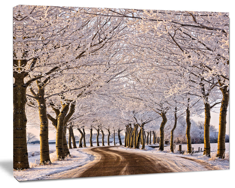 Trees And Road in White Winter, Landscape Canvas Art Print, 60"x28"