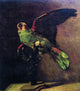 Vincent Van Gogh The Green Parrot, 20"x25" Gallery Wrapped Canvas Print