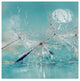 Incredi ''Catching Dreams'' Canvas Art, 24"x24"